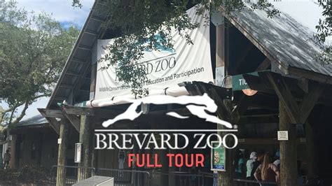 Brevard zoo melbourne fl - The Brevard Zoo is the place to experience nature in so many unique ways! Check out this Florida zoo for a kayaking safari, a zip line adventure and more!